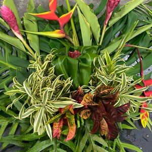 Extra shipping label